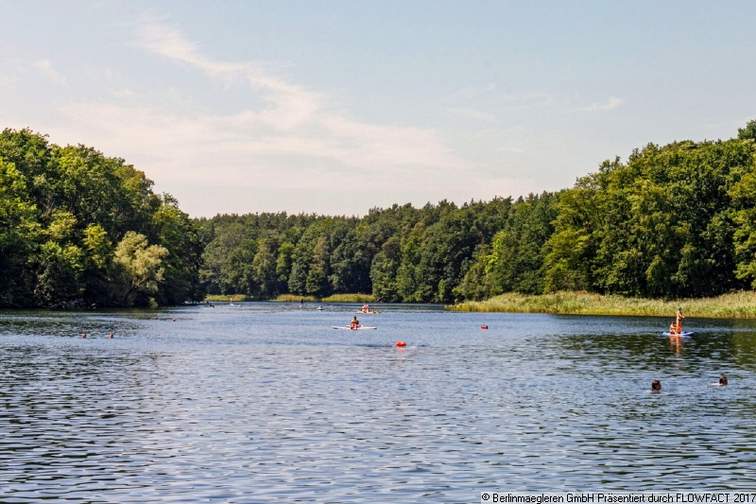 Umgebung, Schlachtensee